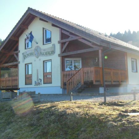 דירות ג'רארדמר Chalet Du Bucheron מראה חיצוני תמונה