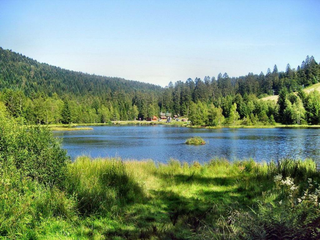 דירות ג'רארדמר Chalet Du Bucheron מראה חיצוני תמונה